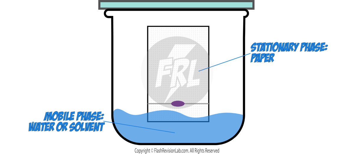 Mobile and Stationary Phase